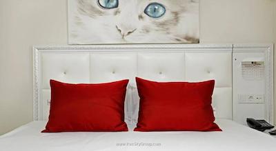 تکسیم استقلال سوئیت