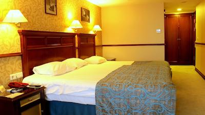 توپکاپی اینتر استانبول هتل