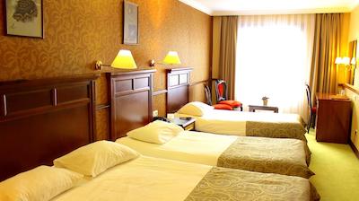 توپکاپی اینتر استانبول هتل