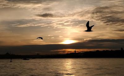 جاست این هتل