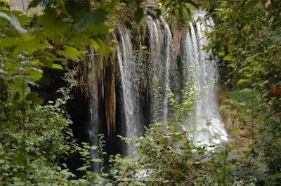 لارا دیاموند