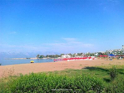 لارا دیاموند