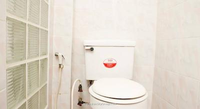 دی اند دی این