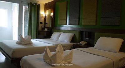 دی اند دی این