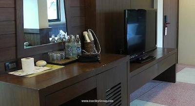 دی اند دی این