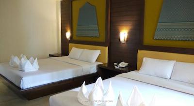 دی اند دی این