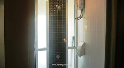 دی اند دی این