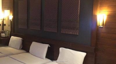 دی اند دی این