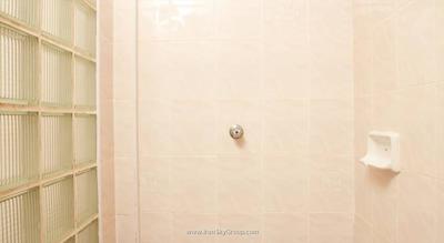 دی اند دی این