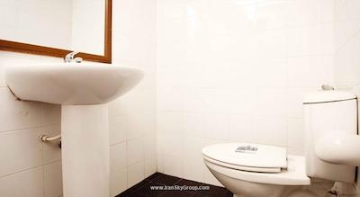 دی اند دی این