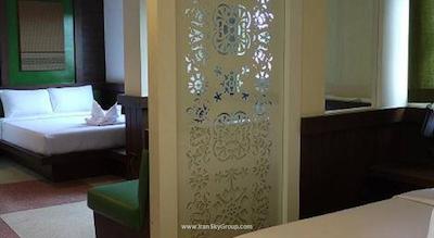 دی اند دی این