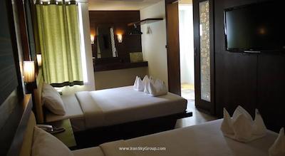 دی اند دی این