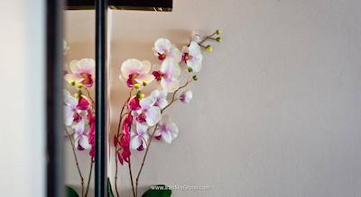 نتا ریزورت پاتایا