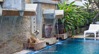 نتا ریزورت پاتایا