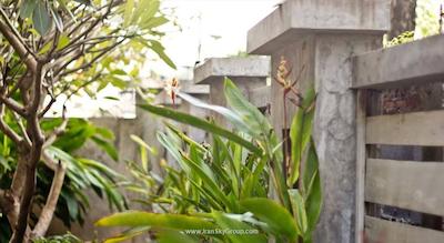 نتا ریزورت پاتایا