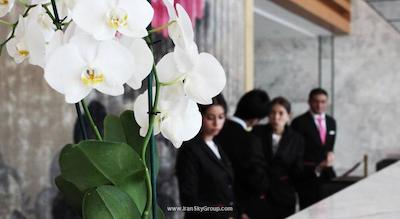 هتلز اند پریفرنس هوالینگ تفلیس