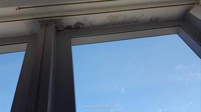 هتلز اند پریفرنس هوالینگ تفلیس