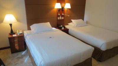 د پارک هتل دوبی