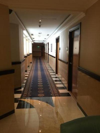 د پارک هتل دوبی