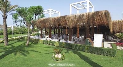 الوا دونا اکسکلوسیو