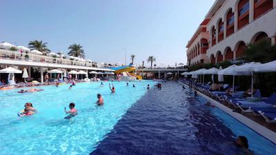 دلفین دیوا پرمیر