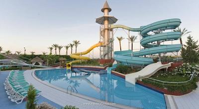 دلفین دیوا پرمیر