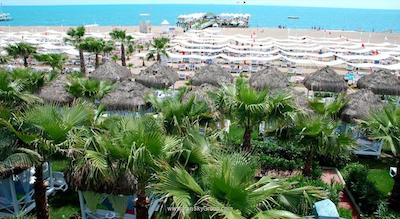 دلفین دیوا پرمیر