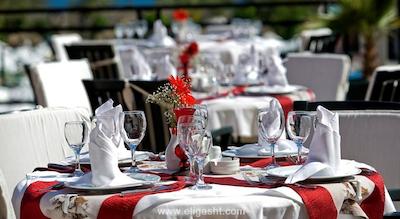 دلفین دیوا پرمیر