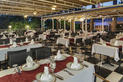 دلفین دیوا پرمیر