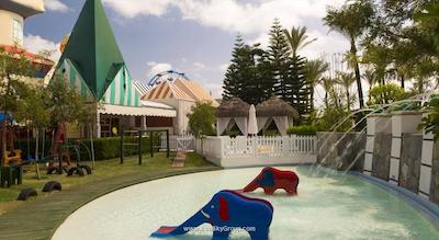 دلفین دیوا پرمیر