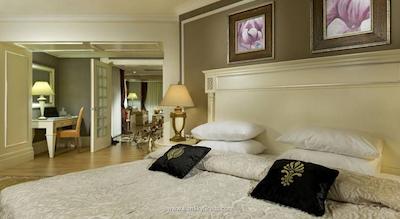 دلفین دیوا پرمیر