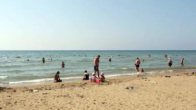 دلفین دیوا پرمیر