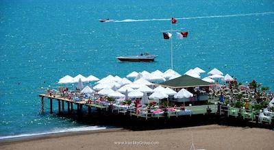 دلفین دیوا پرمیر