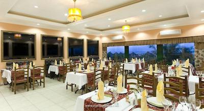 دلفین دیوا پرمیر