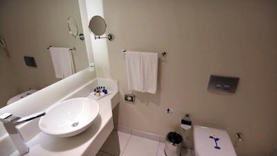 دلفین دیوا پرمیر