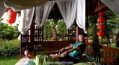 دلفین دیوا پرمیر