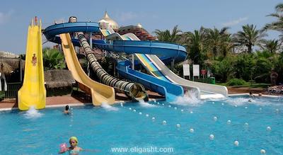 دلفین دیوا پرمیر