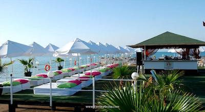 دلفین دیوا پرمیر