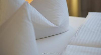 سیتی هتل برلین میتته