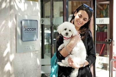 مرکور رما پیازا بولونیا