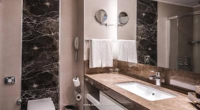 حیدر پاشا پالاس