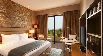 د لیلا امبینس کانیونشن هتل دهلی