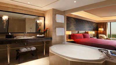 د لیلا امبینس کانیونشن هتل دهلی