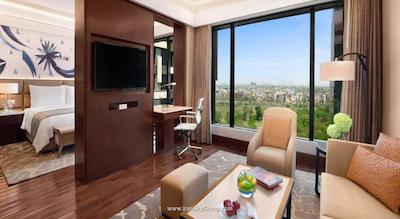 د لیلا امبینس کانیونشن هتل دهلی