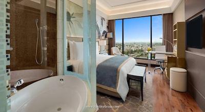 د لیلا امبینس کانیونشن هتل دهلی