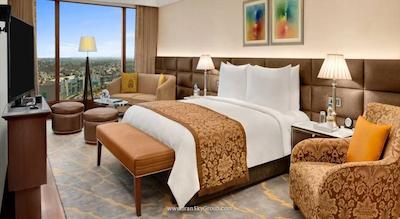 د لیلا امبینس کانیونشن هتل دهلی