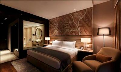 د لیلا امبینس کانیونشن هتل دهلی