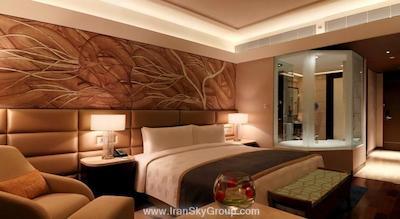 د لیلا امبینس کانیونشن هتل دهلی