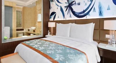 د لیلا امبینس کانیونشن هتل دهلی