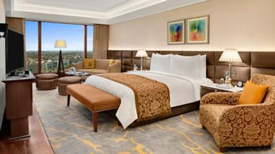 د لیلا امبینس کانیونشن هتل دهلی